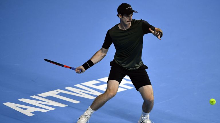 Andy Murray in action at Antwerp