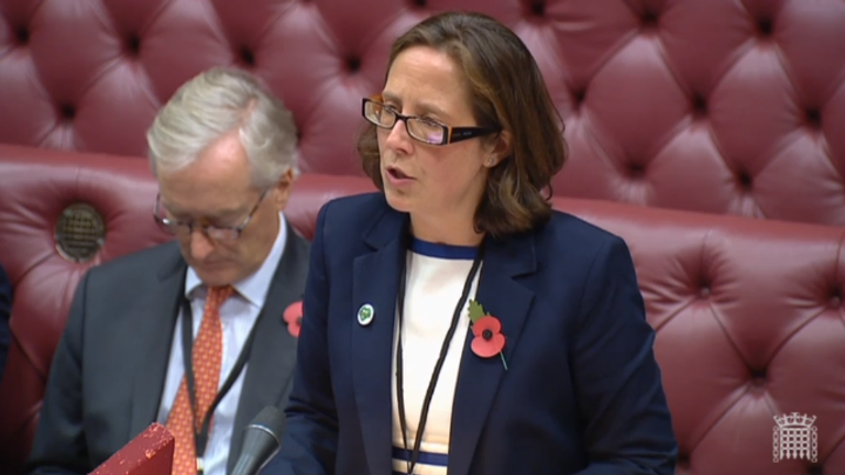 Baroness Evans of Bowes Park moved the bill should pass. Pic: House of Lords