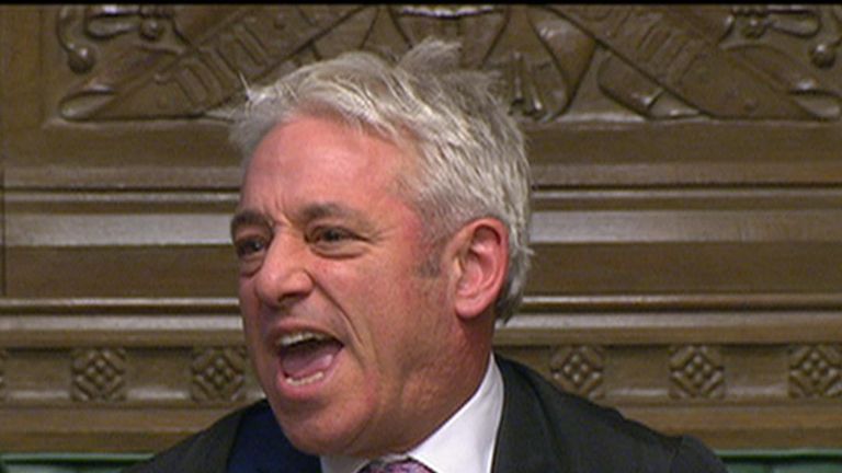 John Bercow in the House of Commons 