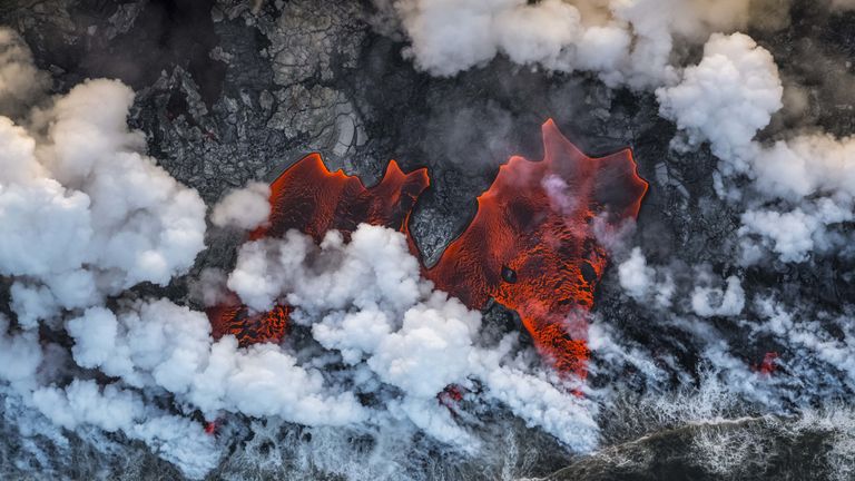 Pic: Luis Vilarino/Wildlife Photographer of the Year