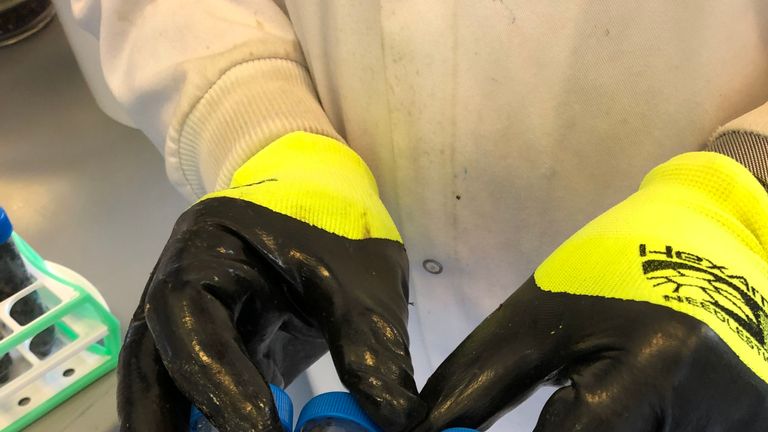 Household cooking fats and hygiene products played a pivotal role in the formation of the giant fatberg found lurking under a seaside town, scientists have revealed.