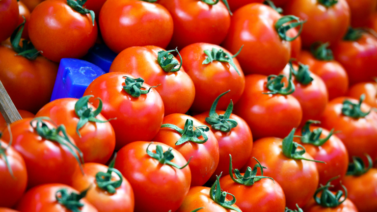 Tomatoes could be the key to tackling male infertility Tomatoes could be the key to tackling male infertility