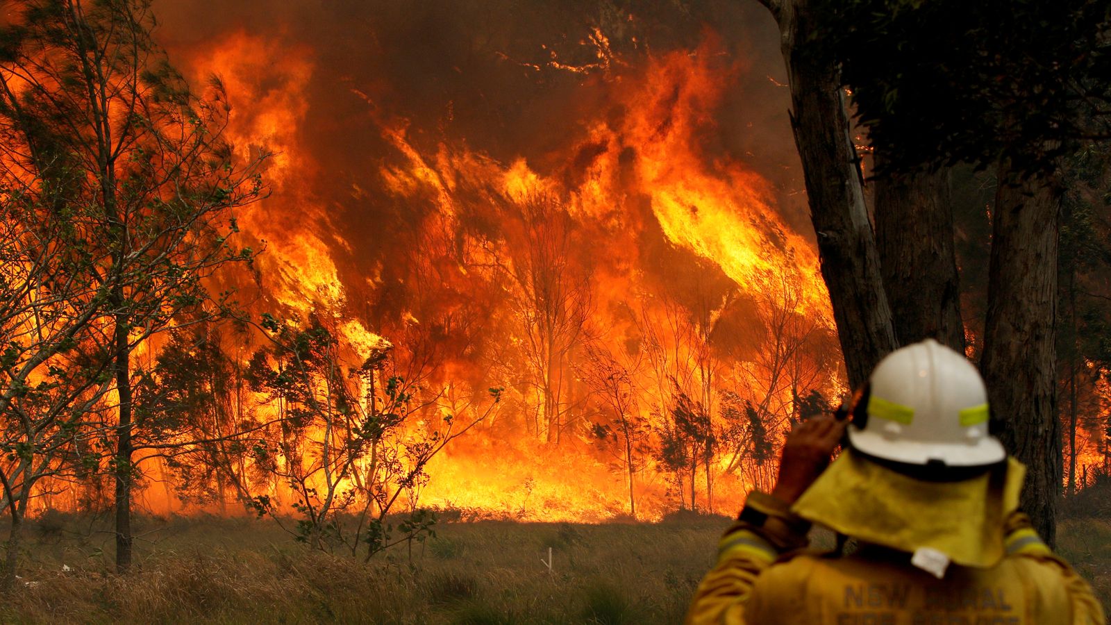 Sydney warned of 'catastrophic' wildfire danger
