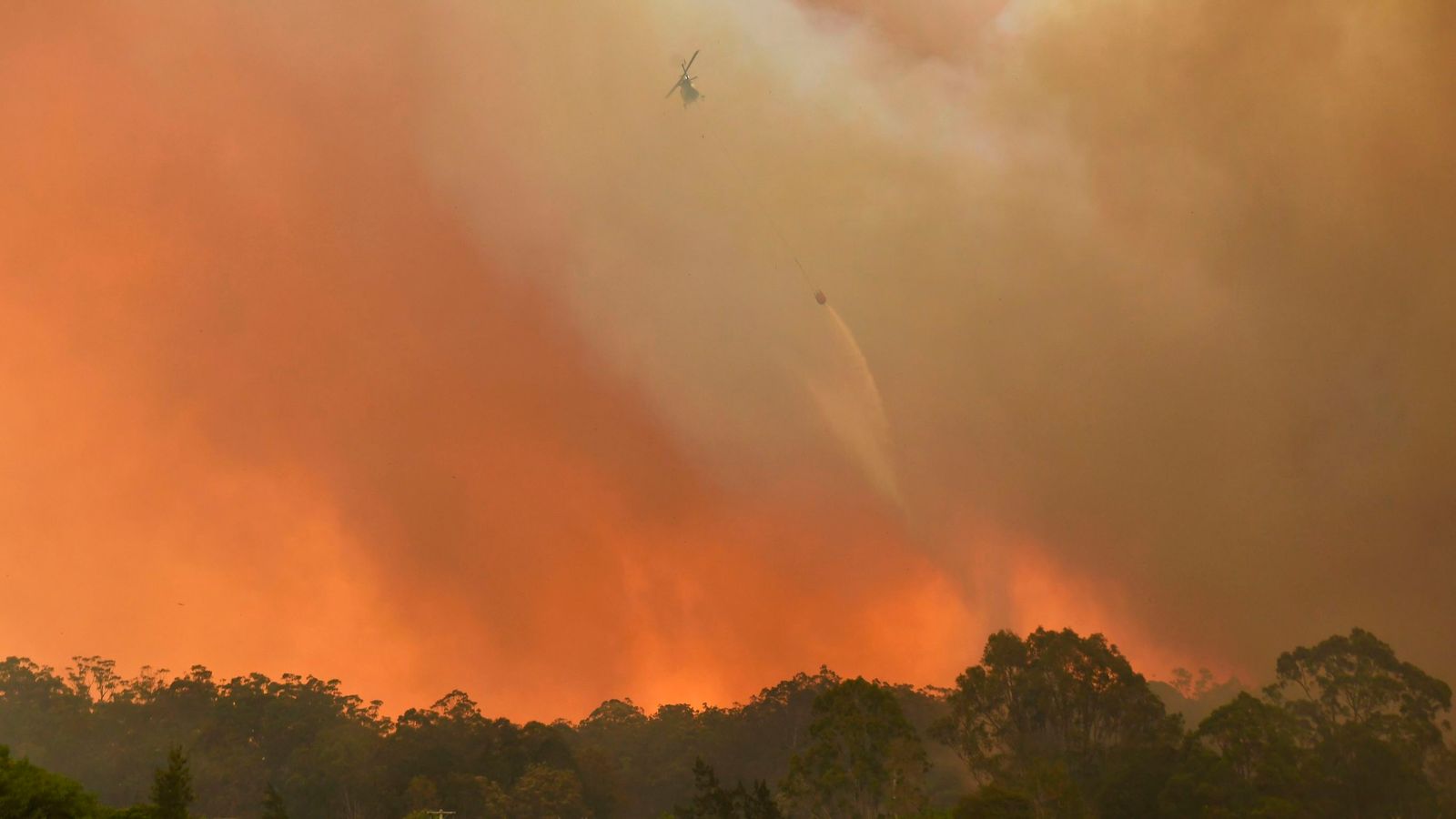 Wildfires in Australia burn more than 1.1 million hectares of land