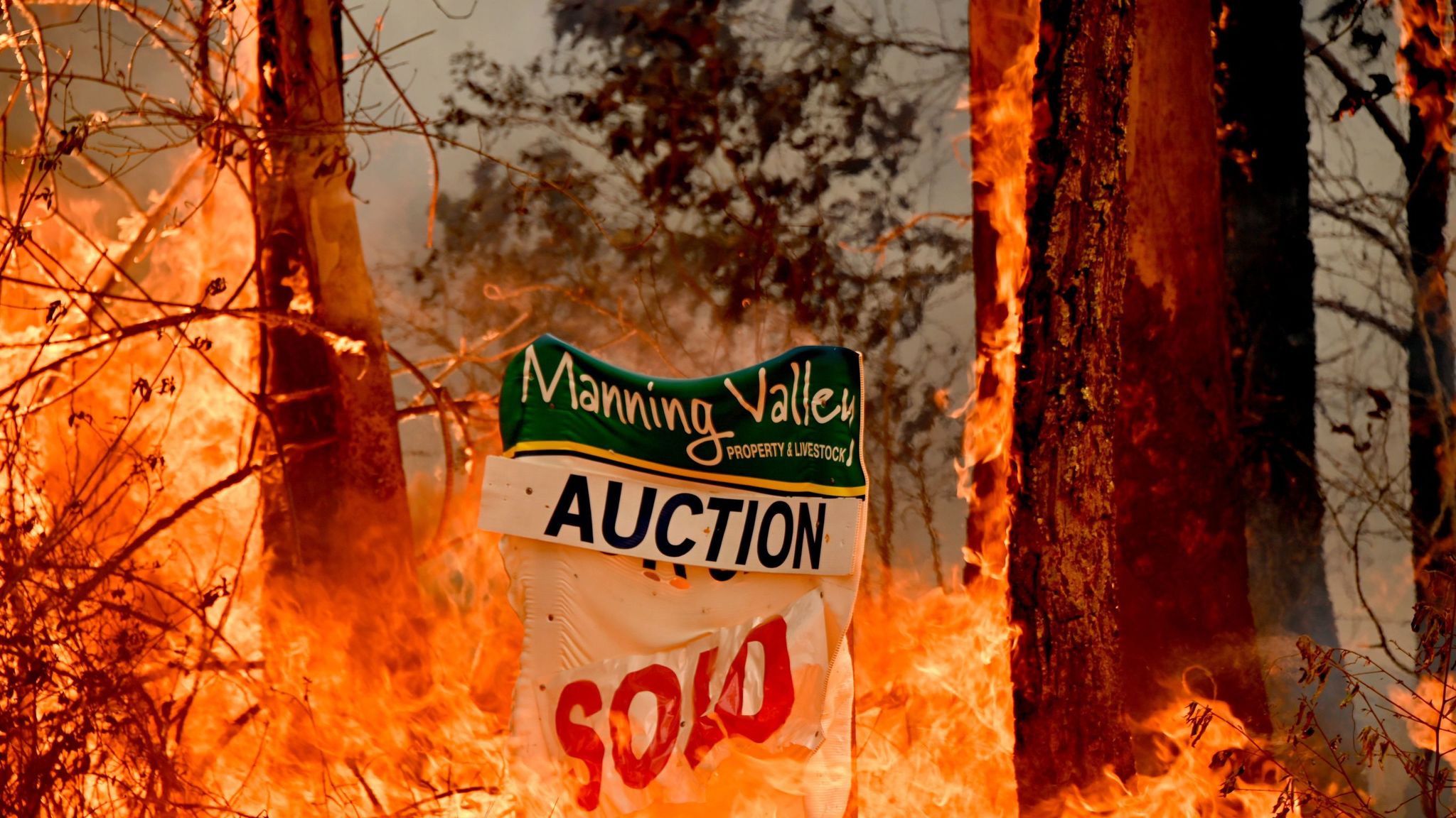 Australia Bushfire Came Through Like A Cyclone Says Family World