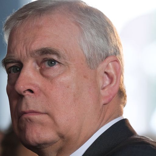 Prince Andrew on the photograph, meeting the sex offender and the four-day house stay
