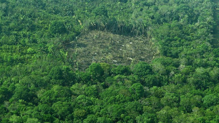 Aerial view of deforestation in the Western Amazon region of Brazil