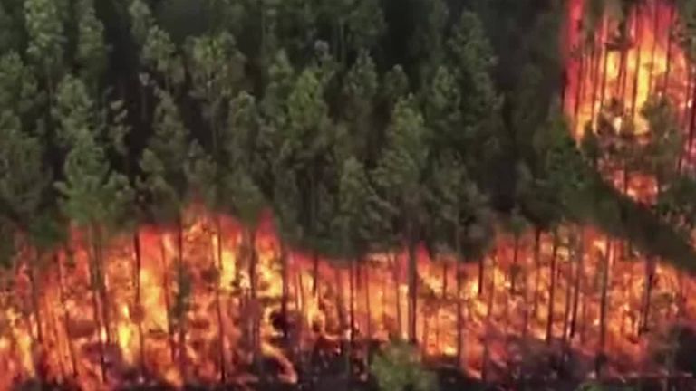 Forest fire spreads 70,000 acres