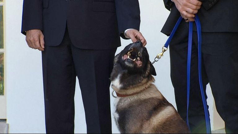 President Trump has welcomed the military working dog injured in the raid that killed the Islamic State leader at the White House.