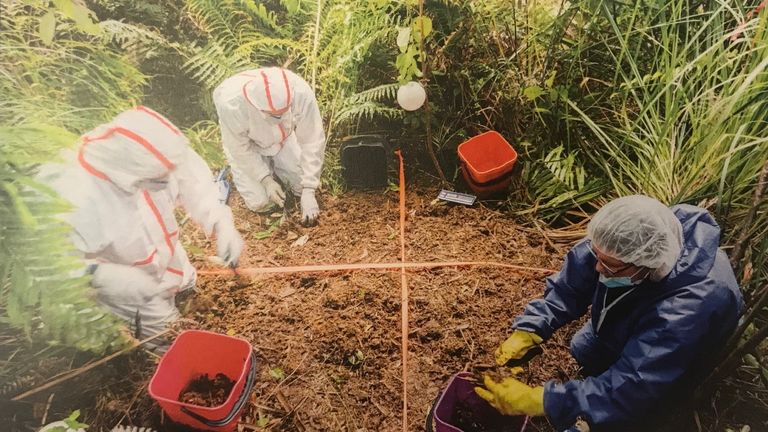 Police found Grace Millane buried in a suitcase in the Waitakere Ranges, near Auckland, New Zealand