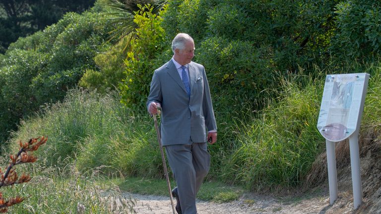 Prince Charles receives a traditional Maori welcome on final leg of New ...