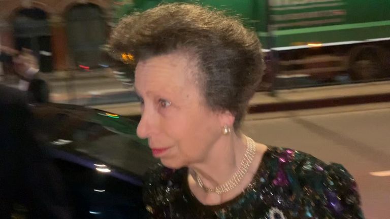 Princess Anne has refused to answer questions regarding her brother the Duke of York.