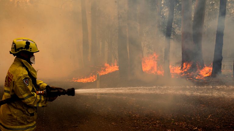 A Gloucester fire crew member fights flames from a bushfire at Koorainghat, near Taree in the Mid North Coast region of NSW, Australia, November 12, 2019