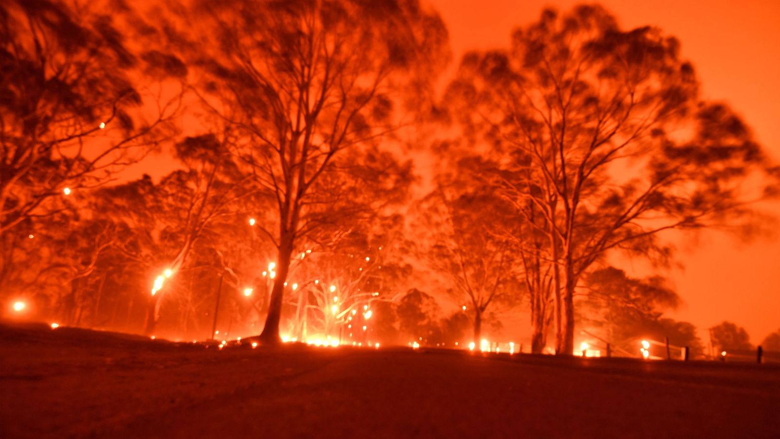 Bushfires must wake up Australia and the world to threat of climate change - Sky News
