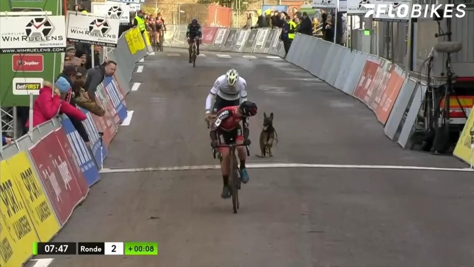 Dog chases cyclists after interrupting race Offbeat News Sky News