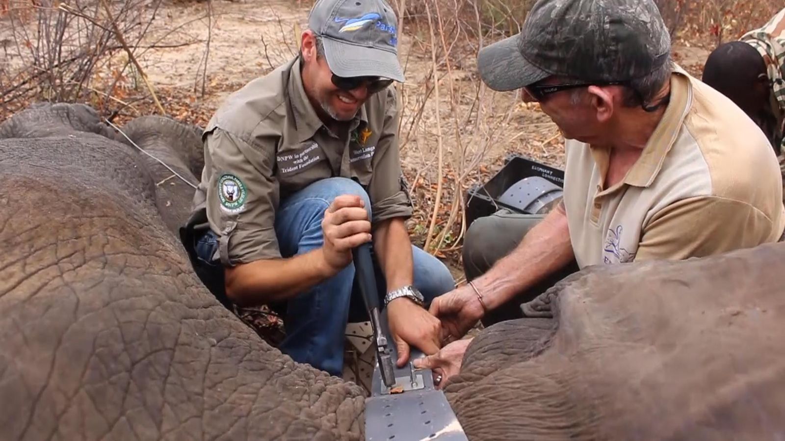 Elephant tracking outlet collars