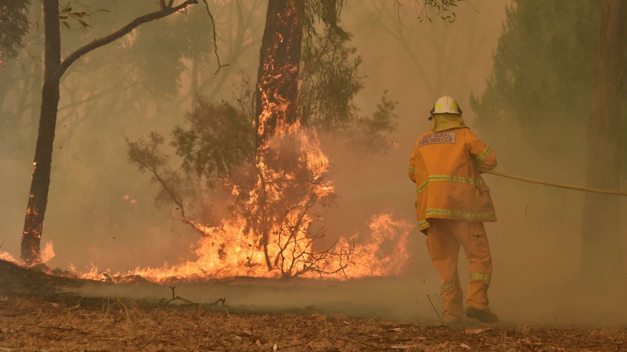 Пожары холидей минус. Пожары Холидей. Australian Bushfires. Bushfires in Australia. Holiday boy пожар.