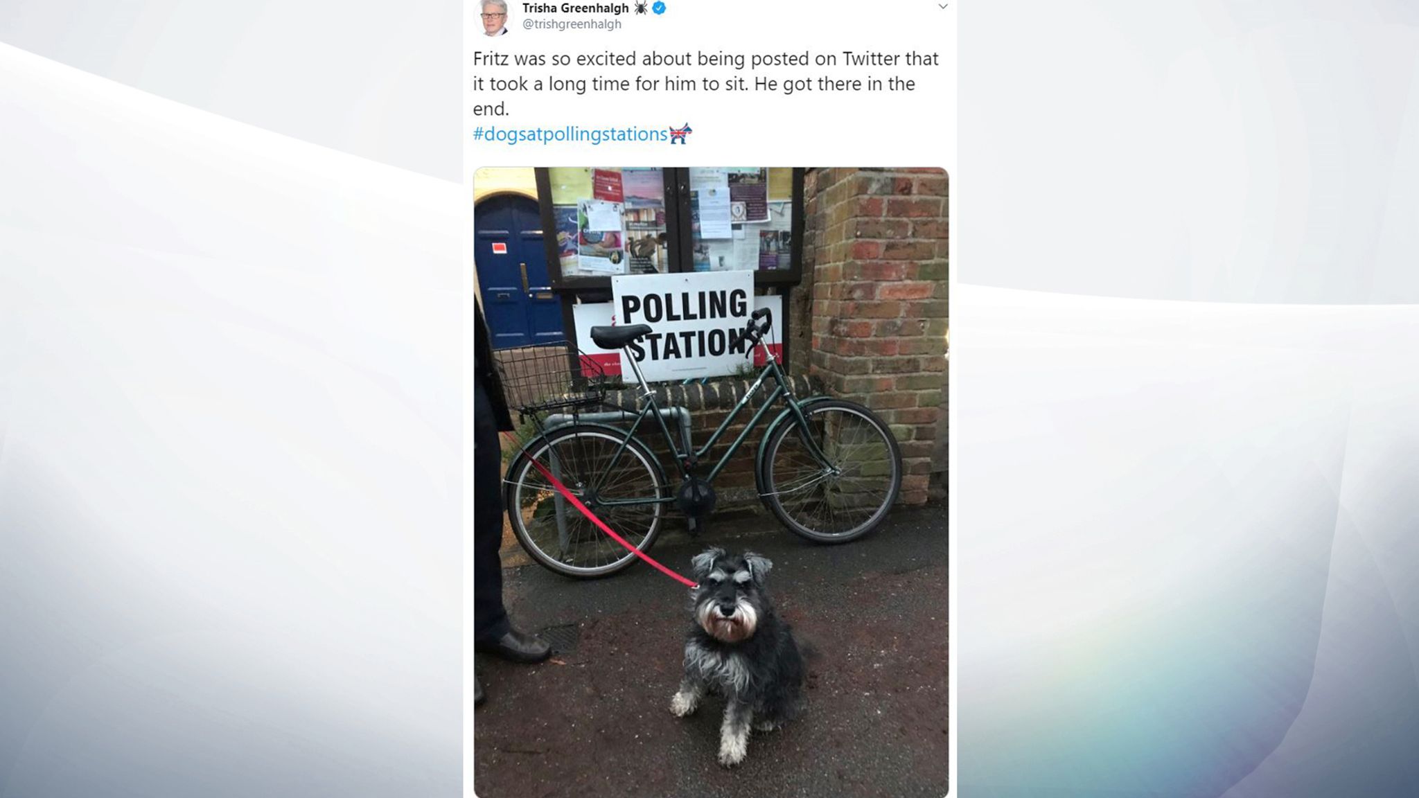 General Election Gets Paw-litical As Voters Snap Their Dogs At The ...