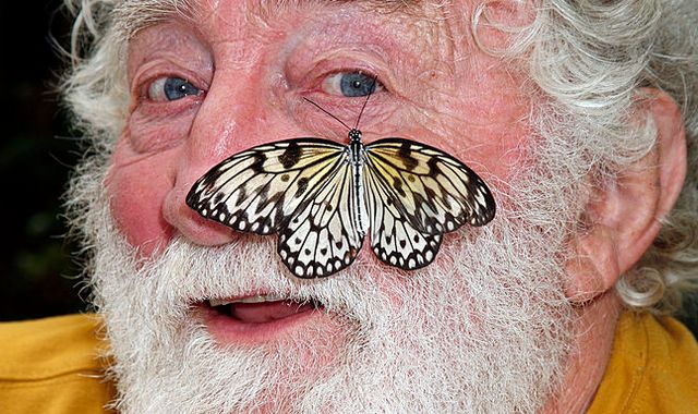 David Bellamy: Naturalist and broadcaster dies age 86