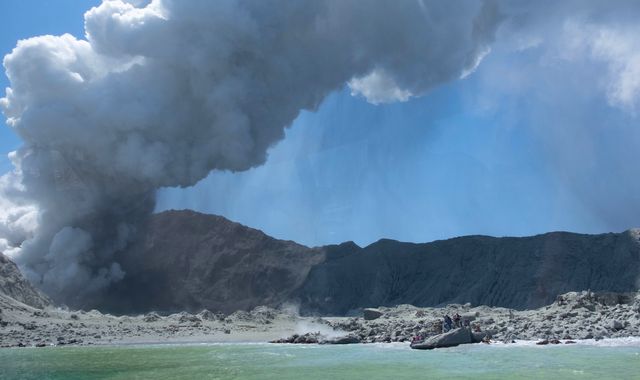 New Zealand orders 1.2 million sq cm of skin from US to treat volcano patients