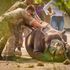 British troops help relocate endangered black rhinos