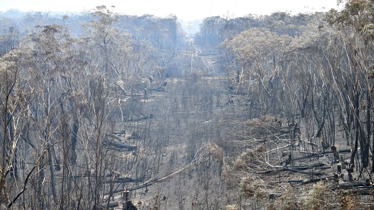 A view of the landscape with burnt trees after a bushfire in Mount Weison in Blue Mountains, some 120 kilometres northwest of Sydney on December 18, 2019. - Australia this week experienced its hottest day on record and the heatwave is expected to worsen, exacerbating an already unprecedented bushfire season, authorities said on December 18. (Photo by Saeed KHAN / AFP) (Photo by SAEED KHAN/AFP via Getty Images)