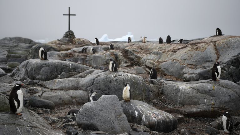 Adelie and Gentoo penguins next to a memorial to three British Antarctic Survey staff who went missing