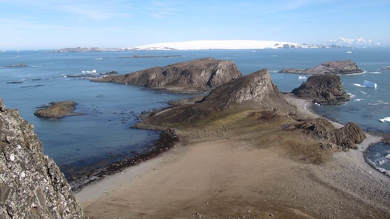 Devils Point, Livingston Island. Pic: Wikicommons/Inoceramid bivalves