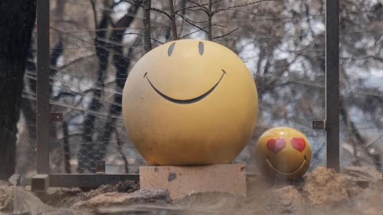 Still from Katerina Vittozzi's VT. It features Evonne Balcar talking about how a tree she planted with her son when he had cancer before he died has been destroyed in the Australian fires