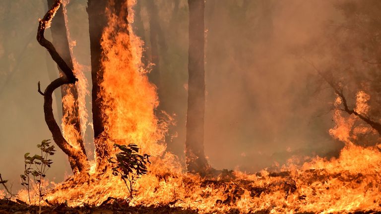 Bushfire in Balmoral