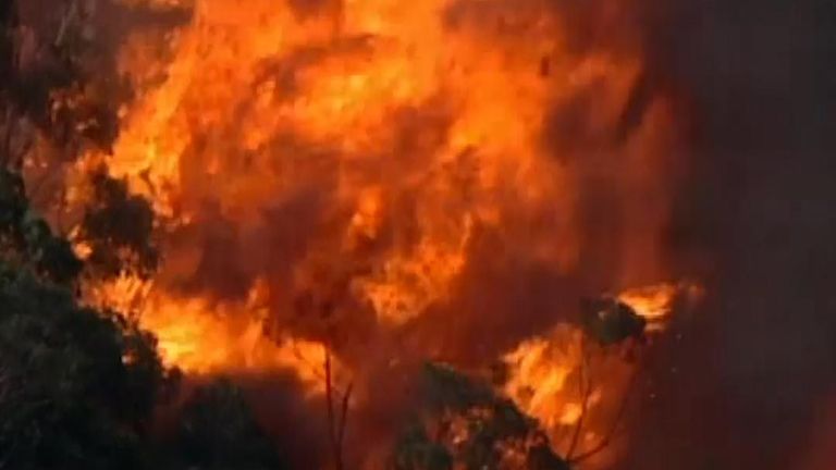 New South Wales continues to burn