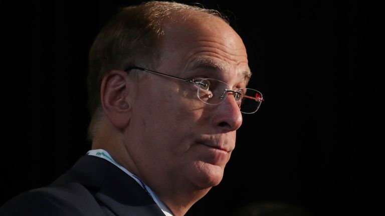 Larry Fink, Chief Executive Officer of BlackRock, stands at the Bloomberg Global Business forum in New York in 2018.