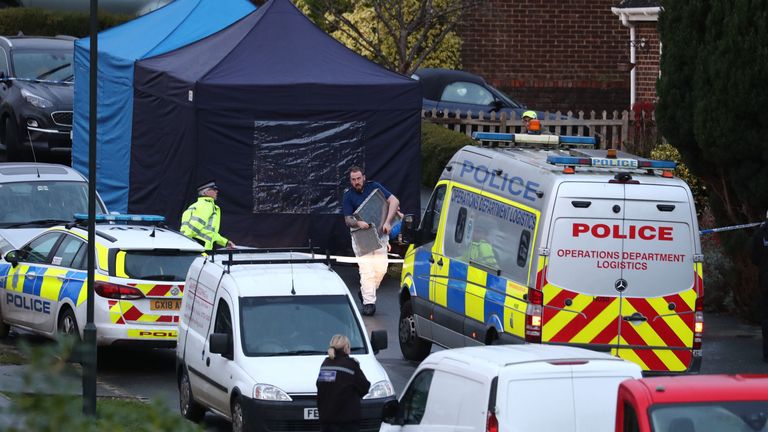 Police at the scene in Crawley Down