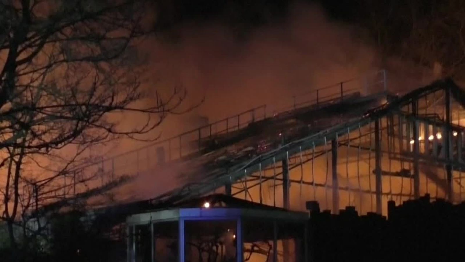 cleveland zoo catches fire