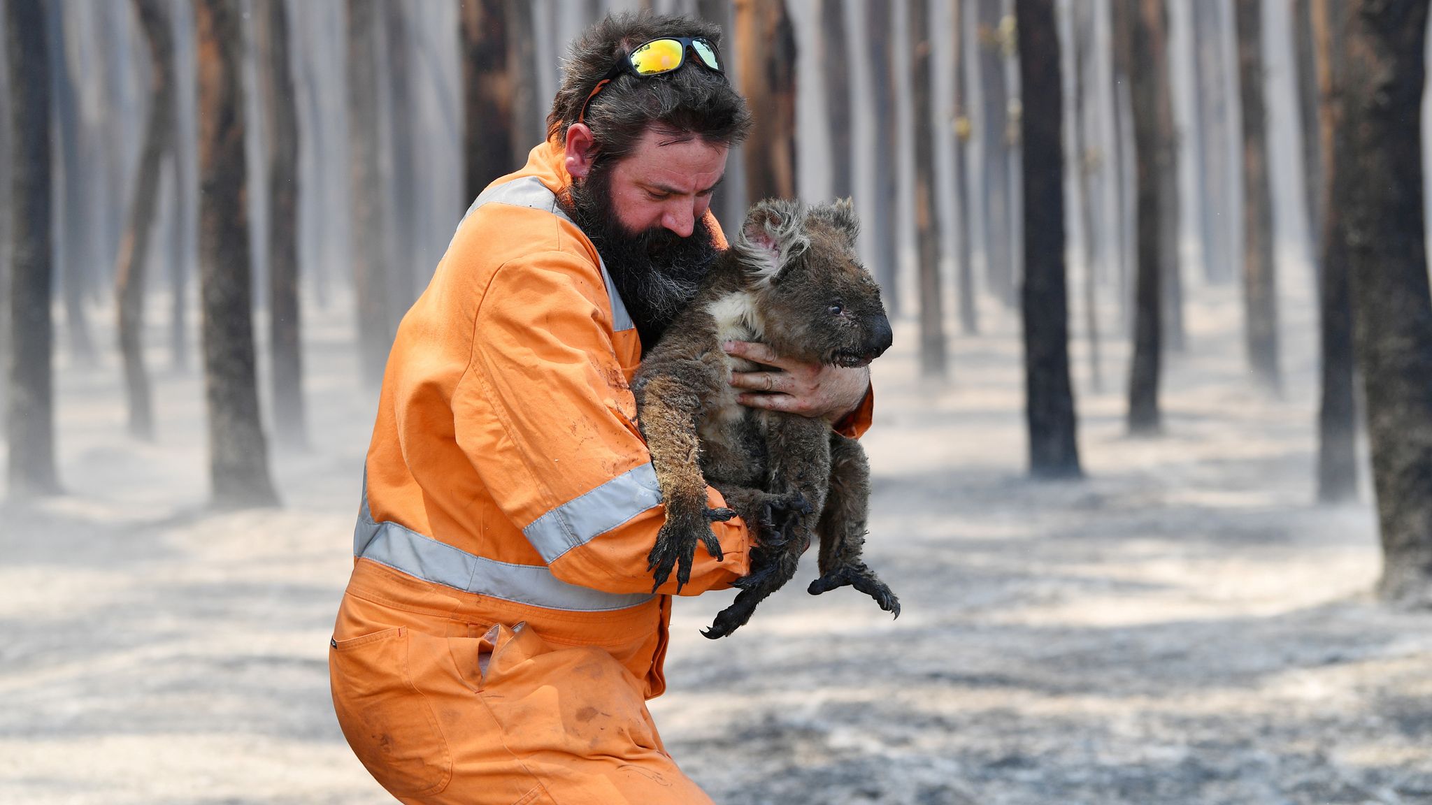 Australian bushfires: NASA images show third of Kangaroo Island burned ...