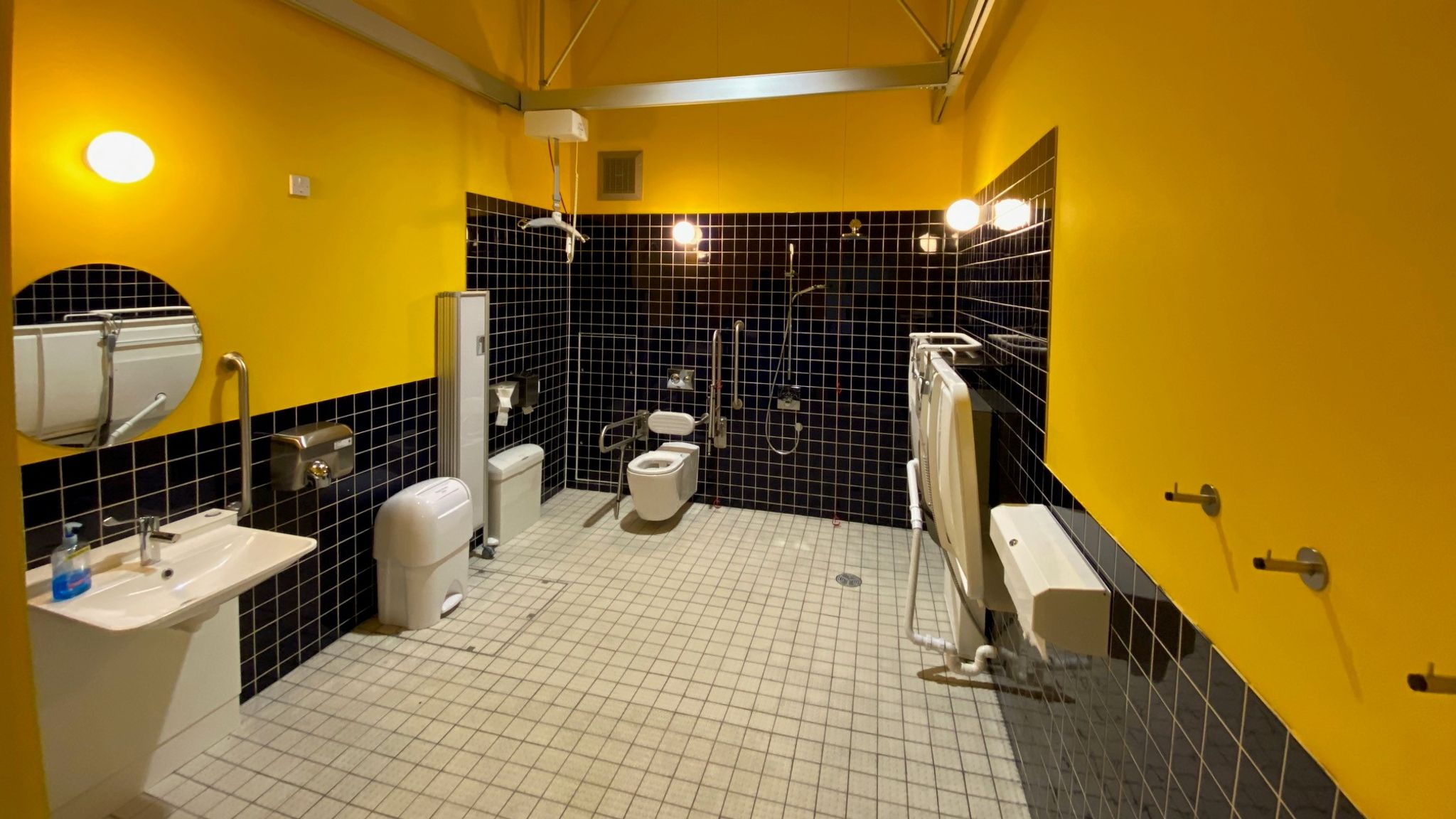 Campaigners call for fully accessible disabled toilets on every