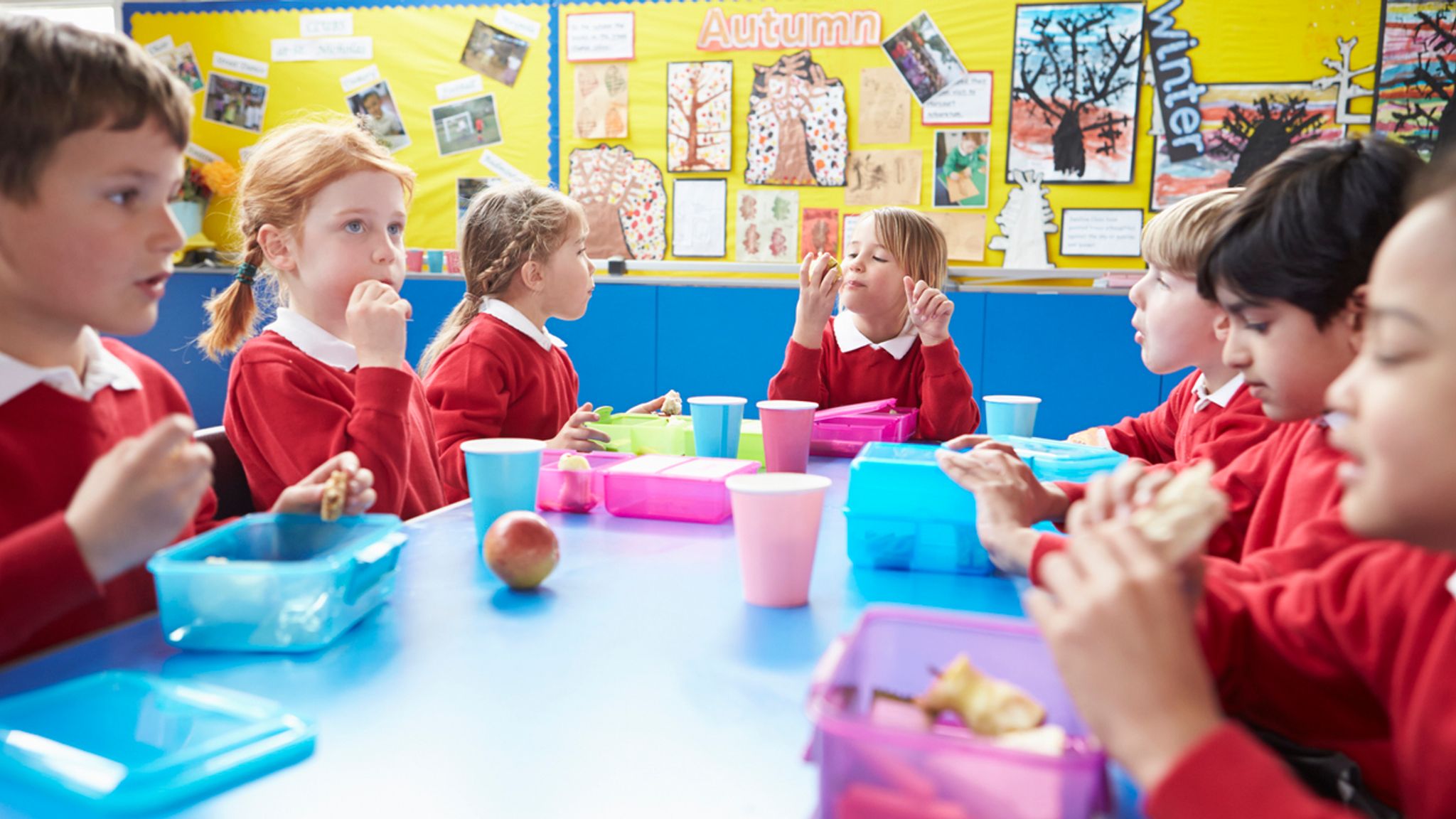 The Verdict on Packed School Lunches: Parents vs Kids