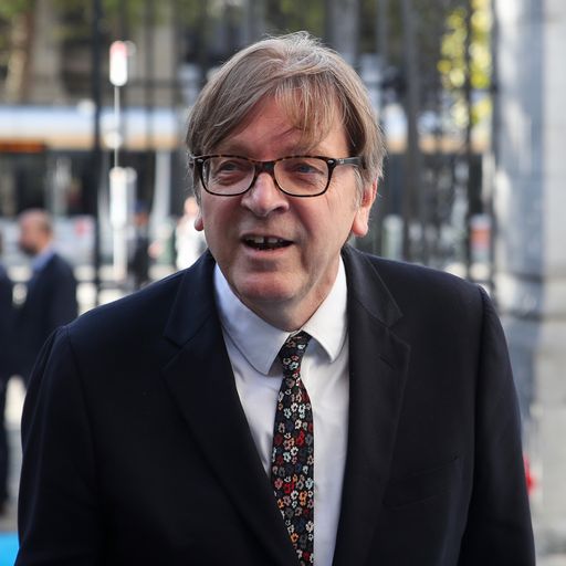 EU's Guy Verhofstadt predicts Brexit will be reversed