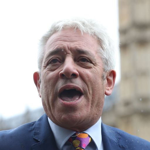 Commons slams Bercow for naming staff in book
