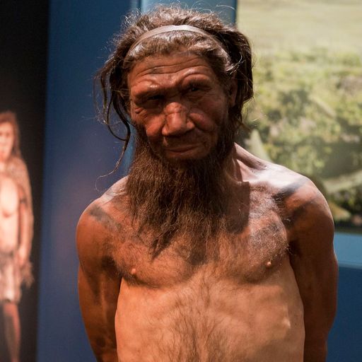 Scientists find first evidence of Neanderthal DNA in modern Africans