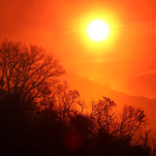 Global temperature record expected to be broken in next five years