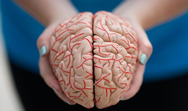 Parkinson's disease may begin before birth, research suggests