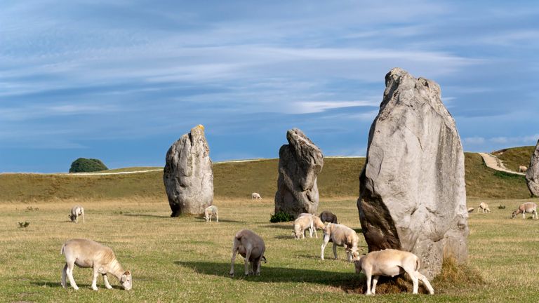 "Standing stones at Avebury, England. The prehistoric stone ring is so large that the village of Avebury fits inside it. Avebury is a UNESCO World heritage site."