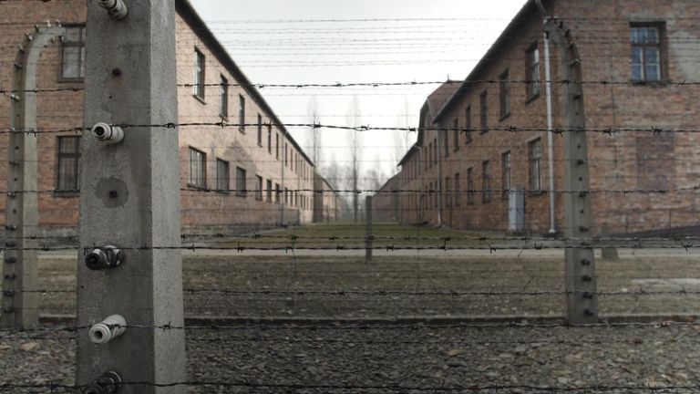 1.1 million people were gassed or shot by the Nazis at Auschwitz during the Second World War