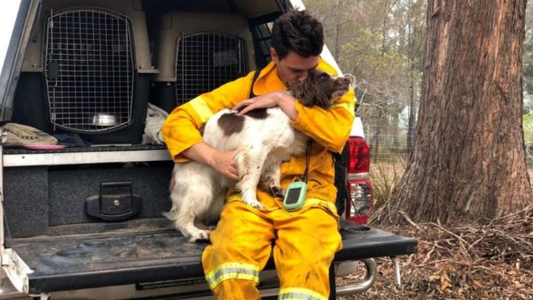 Despite working to find koalas, Taylor is also still a man's best friend when it comes to his trainer Ryan Tate