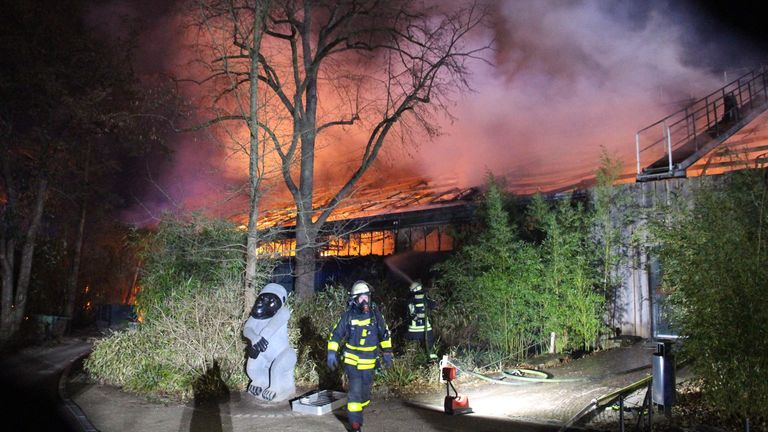 Firemen work at the burning monkey house of the zoo in Krefeld, western Germany, on early January 1, 2020. - Fire ripped through the monkey house at Krefeld zoo on New Year&#39;s Eve, killing dozens of animals, including orangutans, chimpanzees and marmosets, the management said. (Photo by Alexander FORSTREUTER / DPA / AFP) / Germany OUT (Photo by ALEXANDER FORSTREUTER/DPA/AFP via Getty Images)
