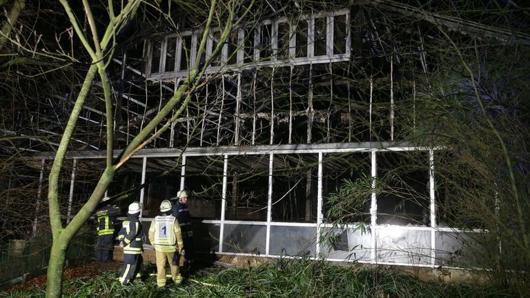 Firemen work at the burning monkey house of the zoo in Krefeld, western Germany, on early January 1, 2020. - Fire ripped through the monkey house at Krefeld zoo on New Year&#39;s Eve, killing dozens of animals, including orangutans, chimpanzees and marmosets, the management said. (Photo by Alexander FORSTREUTER / DPA / AFP) / Germany OUT (Photo by ALEXANDER FORSTREUTER/DPA/AFP via Getty Images)
