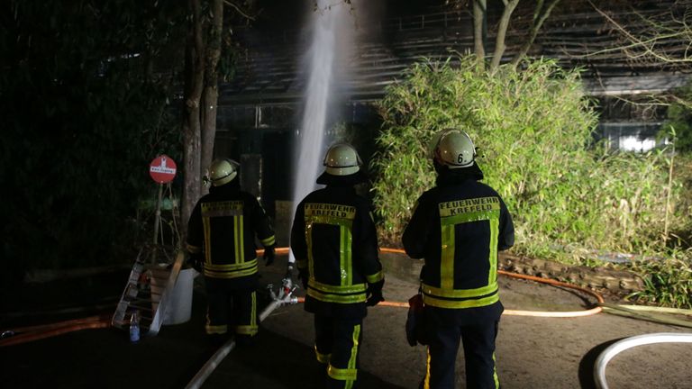 Firemen work at the burned-out monkey house of the zoo in Krefeld, western Germany, on early January 1, 2020. - Fire ripped through the monkey house at Krefeld zoo on New Year&#39;s Eve, killing dozens of animals, including orangutans, chimpanzees and marmosets, the management said. (Photo by David Young / DPA / AFP) / Germany OUT (Photo by DAVID YOUNG/DPA/AFP via Getty Images)
