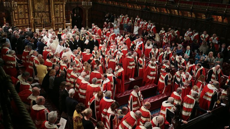 Members of the House of Lords and guests in the chamber ahead of the State Opening of Parliament by Queen Elizabeth II, in the House of Lords at the Palace of Westminster in London.