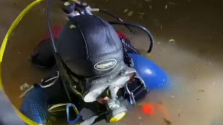 A diver descends into the water in an effort to reach the pair